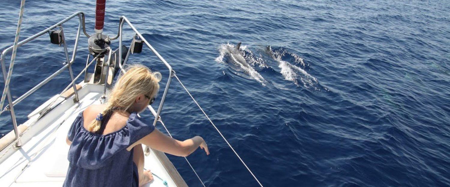 A woman aboard a skippered yacht charter reaching out to playful dolphins swimming near the boat