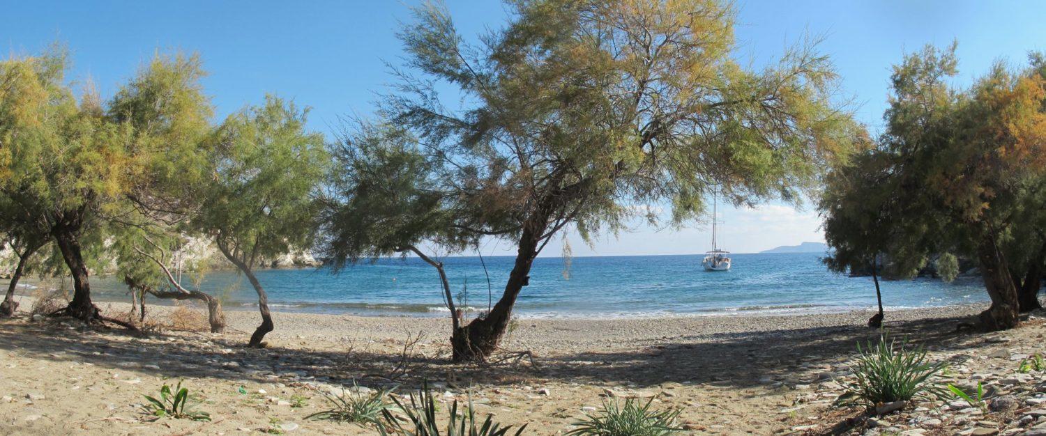A secluded beach framed by trees, with a skippered yacht charter anchored offshore in the calm blue waters.